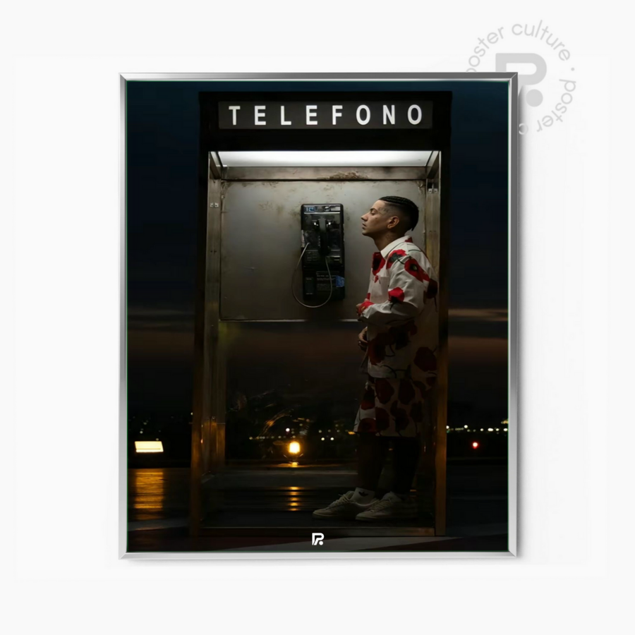 Póster Artista Estilo Vintage Sepia